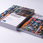 Single Portfolio Image Thumbnail
